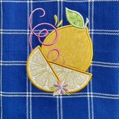 Beginning Embroidery Applique Class 4/9/25