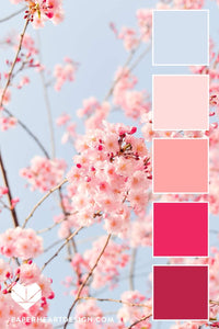 BBM "Cherry Blossoms"