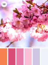 Load image into Gallery viewer, BBM26 "Cherry Blossoms"