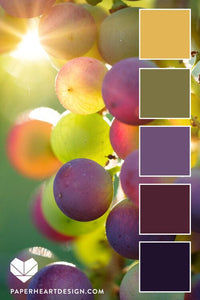 BBM "Grape Harvest"