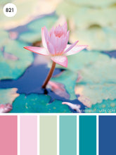 Load image into Gallery viewer, BBM26 "Lotus Blossoms"