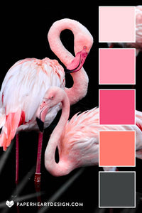 BBM "Pink Flamingos"