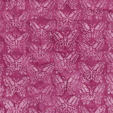 Island Batik Graphic Butterfly